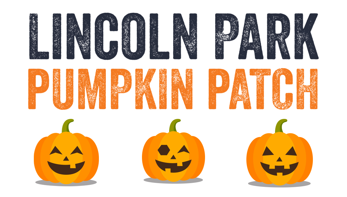 Lincoln Park Pumpkin Patch